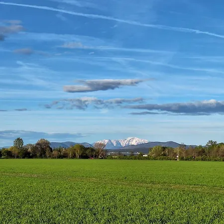 Auenland *
